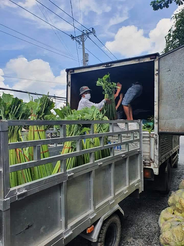 thuê xe tải chở trái cây rau củ quả